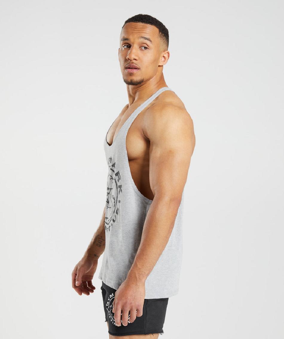 Stringers Męskie Gymshark Legacy Głęboka Szare | PL 3746HAP